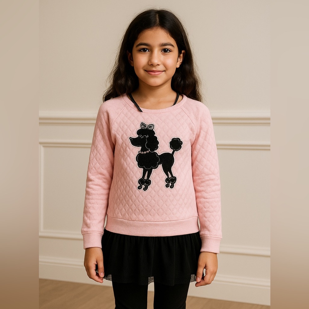 🎀 Flapdoodles Poodle Girls Sweater Dress Shirt